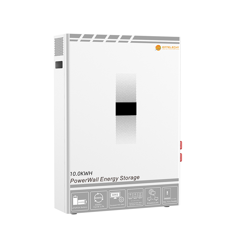Entelechy 10.25kWh 51.2V 200Ah Powerwall Lithium Battery for Home and Small Business Backup with 95% DoD, 6000 Cycles, RS485/CAN/RS232 Communication, IP21 (BST-PWBA48200)