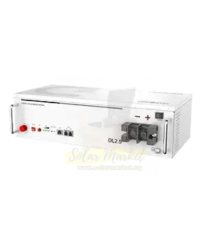 Dyness DL2.5 2.56kWh 25.6V 100Ah LiFePO4 Solar Battery for Home and Small Business Backup, 90% DoD, 6000 Cycles, Up to 16 in Parallel